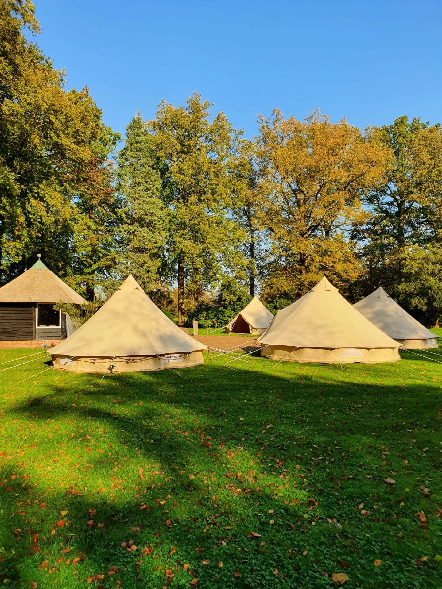 Vijf belltenten op een grasveld voor een rieten boerderij, in herfstzon